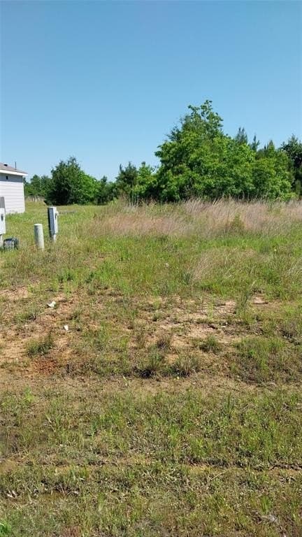 0.17 acres in Liberty County gallery image 4