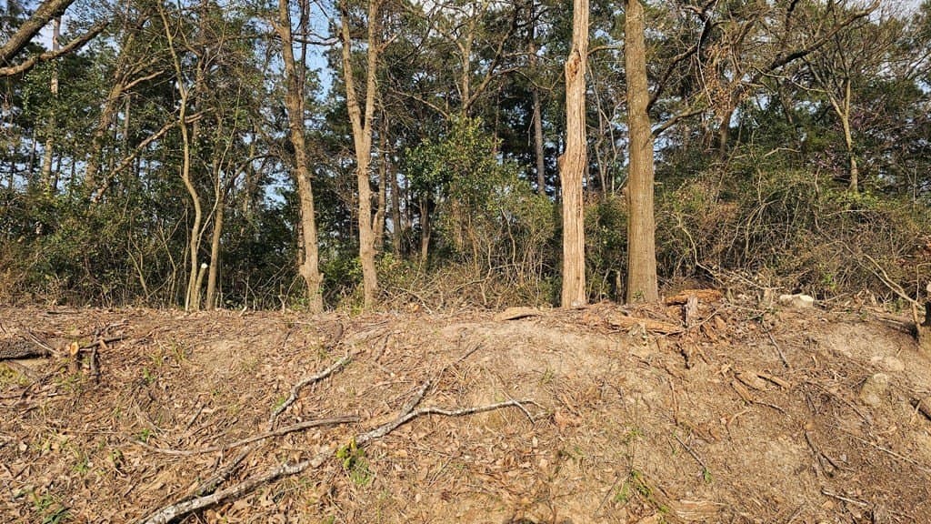 1.97 acres in Texas County featured view