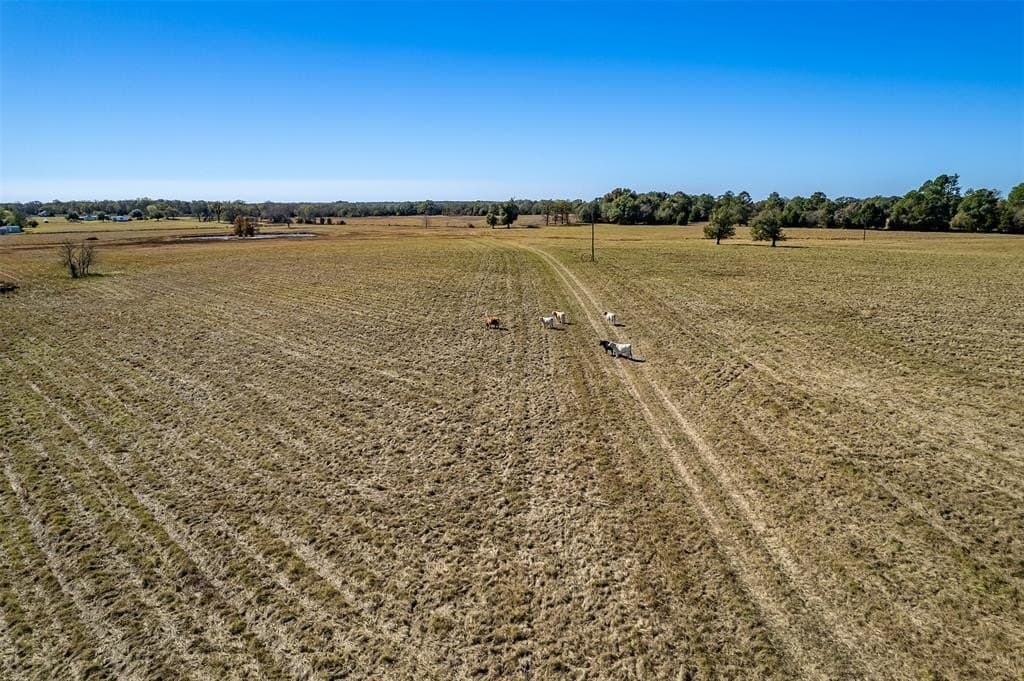 105.95 acres in Van Zandt County gallery image 3