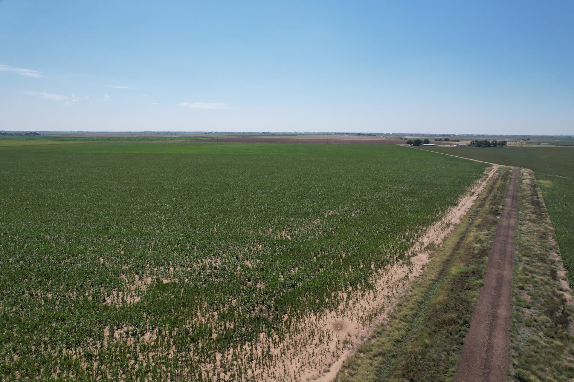 577 acres in Lubbock County gallery image 2