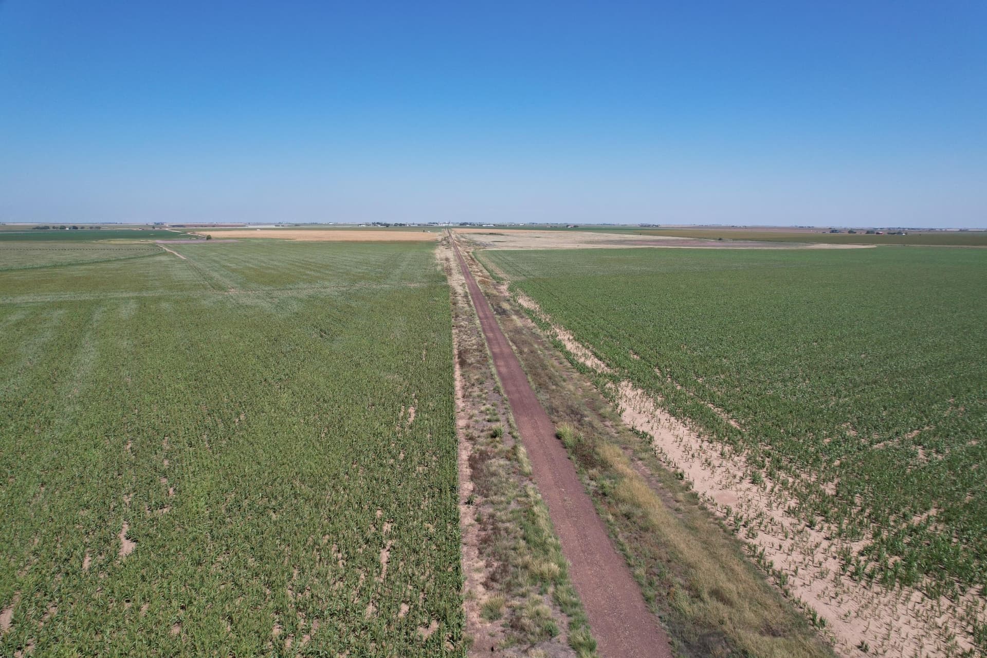 577 acres in Lubbock County gallery image 3