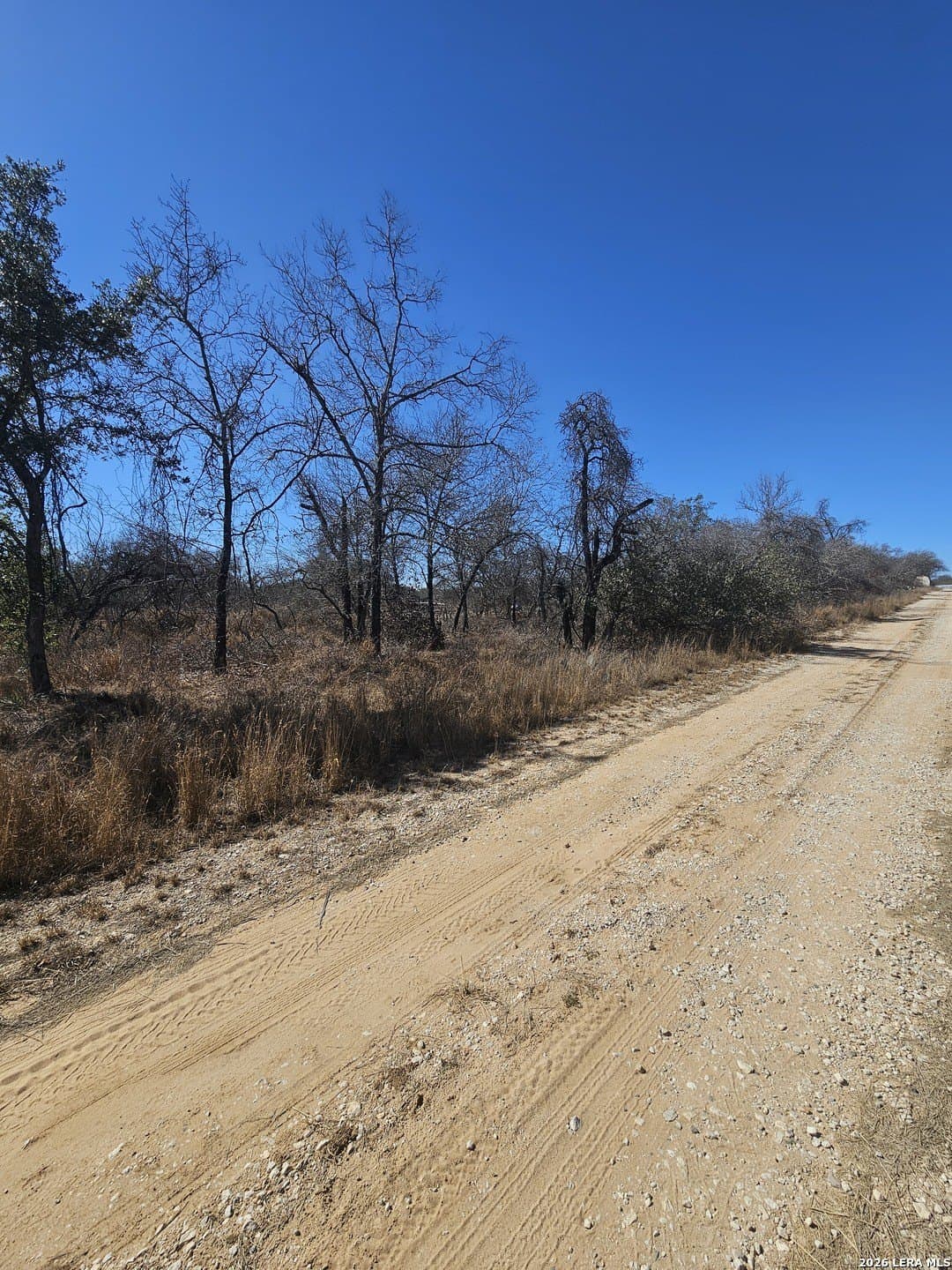 2 acres in Medina County gallery image 4