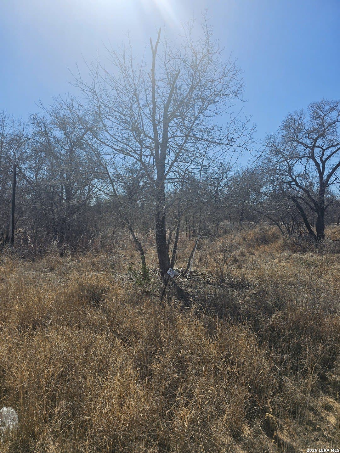 2 acres in Medina County - photo 8