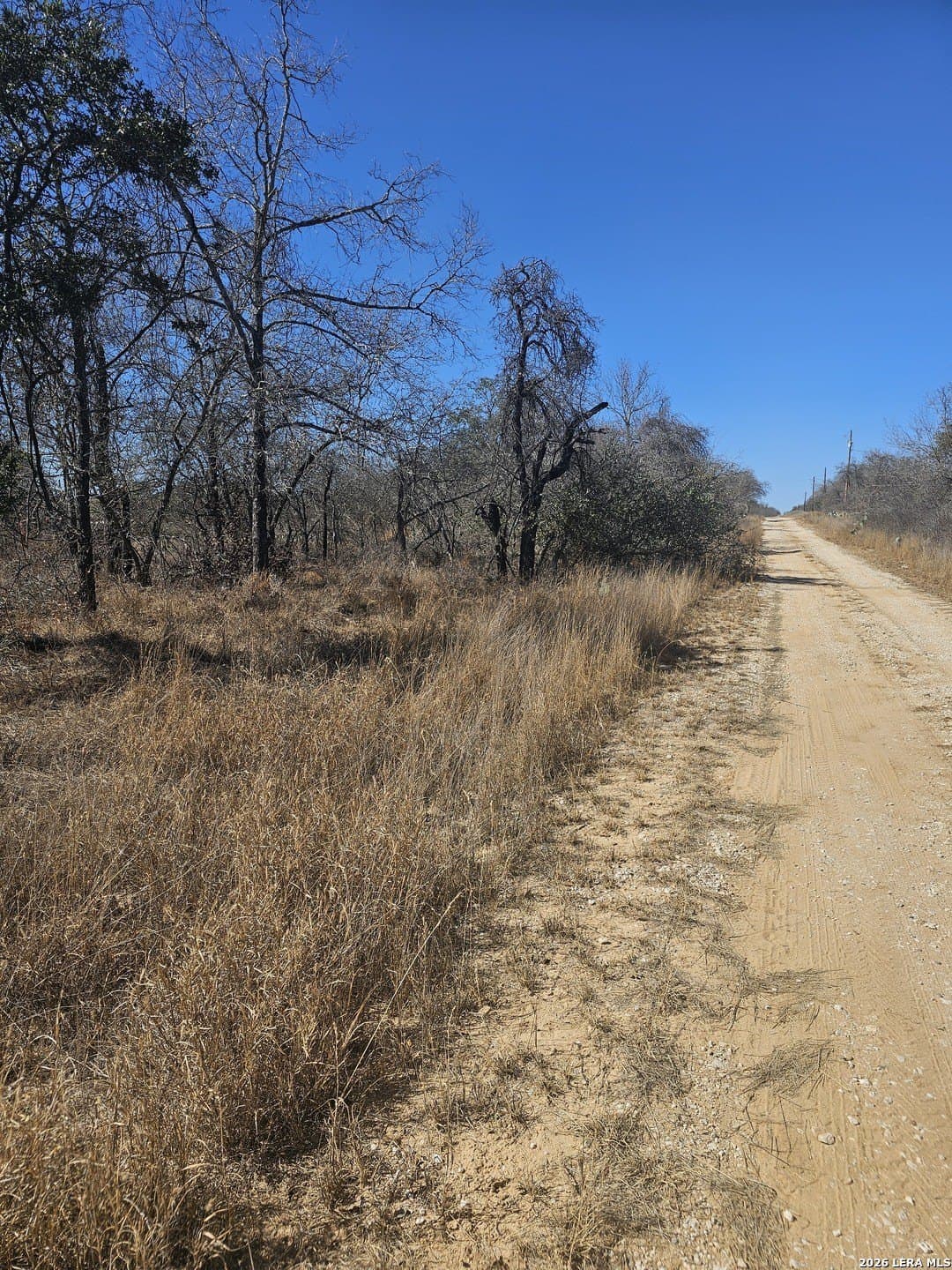 2 acres in Medina County - photo 7