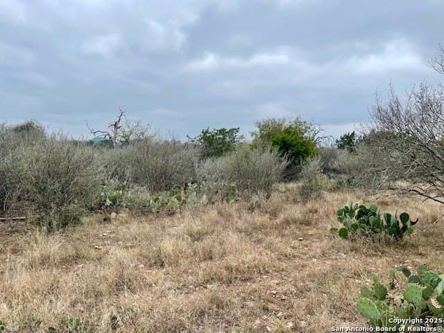 0.25 acres in Bandera County gallery image 2