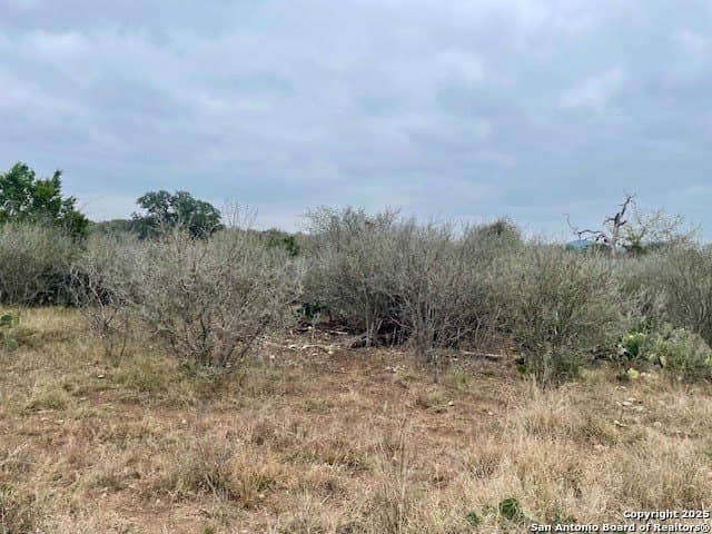 0.25 acres in Bandera County gallery image 3