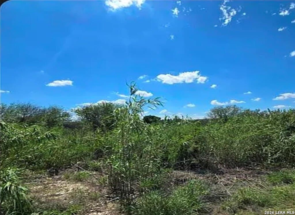 0.69 acres in Val Verde County gallery image 3