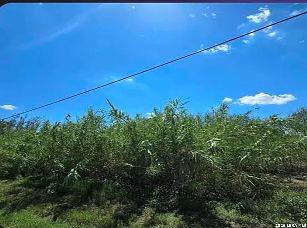 0.69 acres in Val Verde County gallery image 4