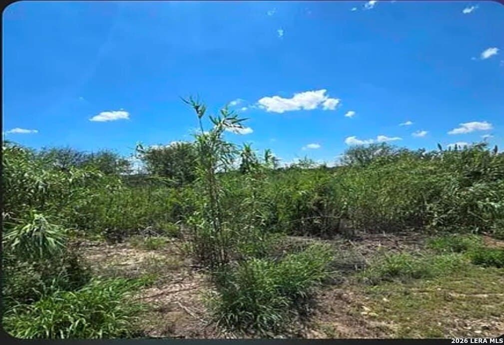 0.69 acres in Val Verde County gallery image 2