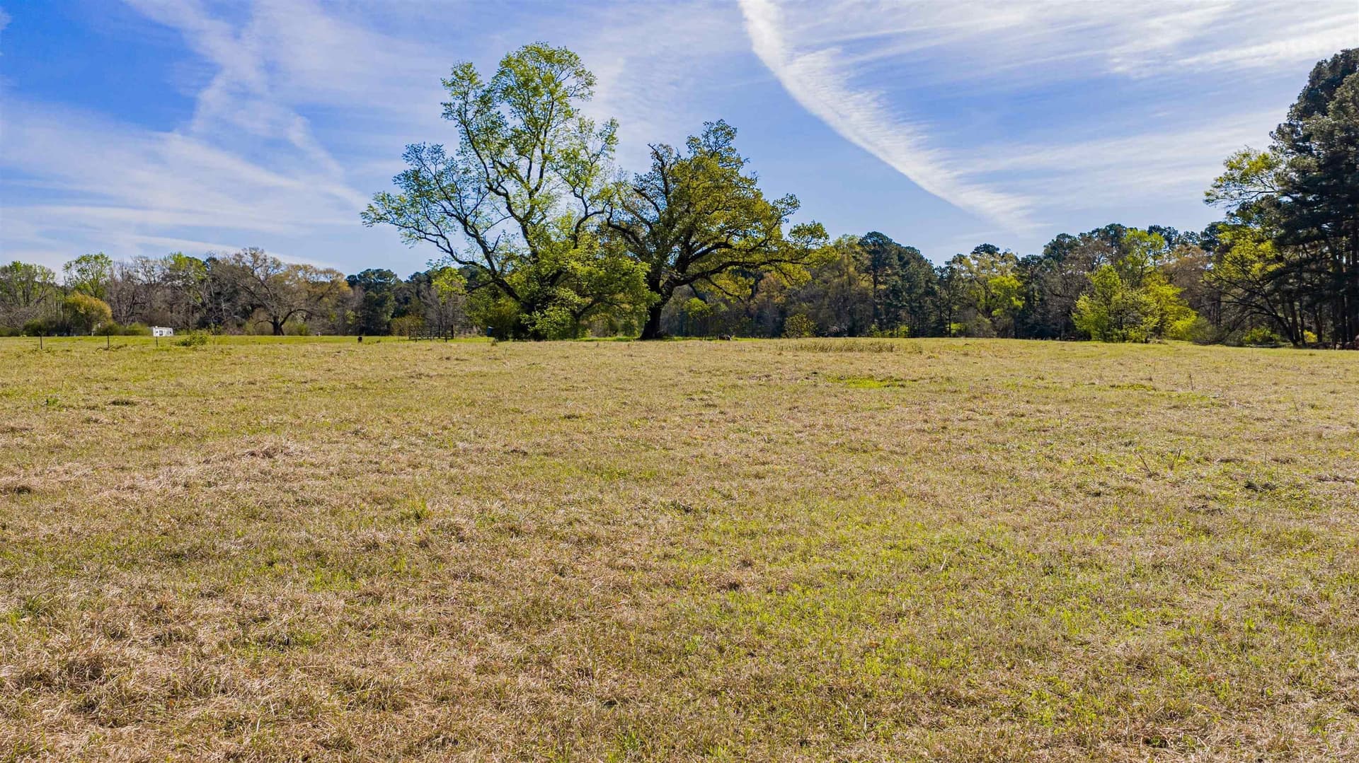 204.1 acres in Upshur County - photo 25