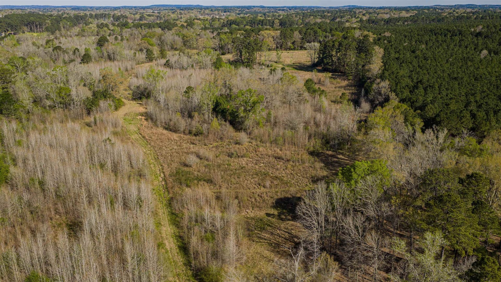 204.1 acres in Upshur County - photo 12
