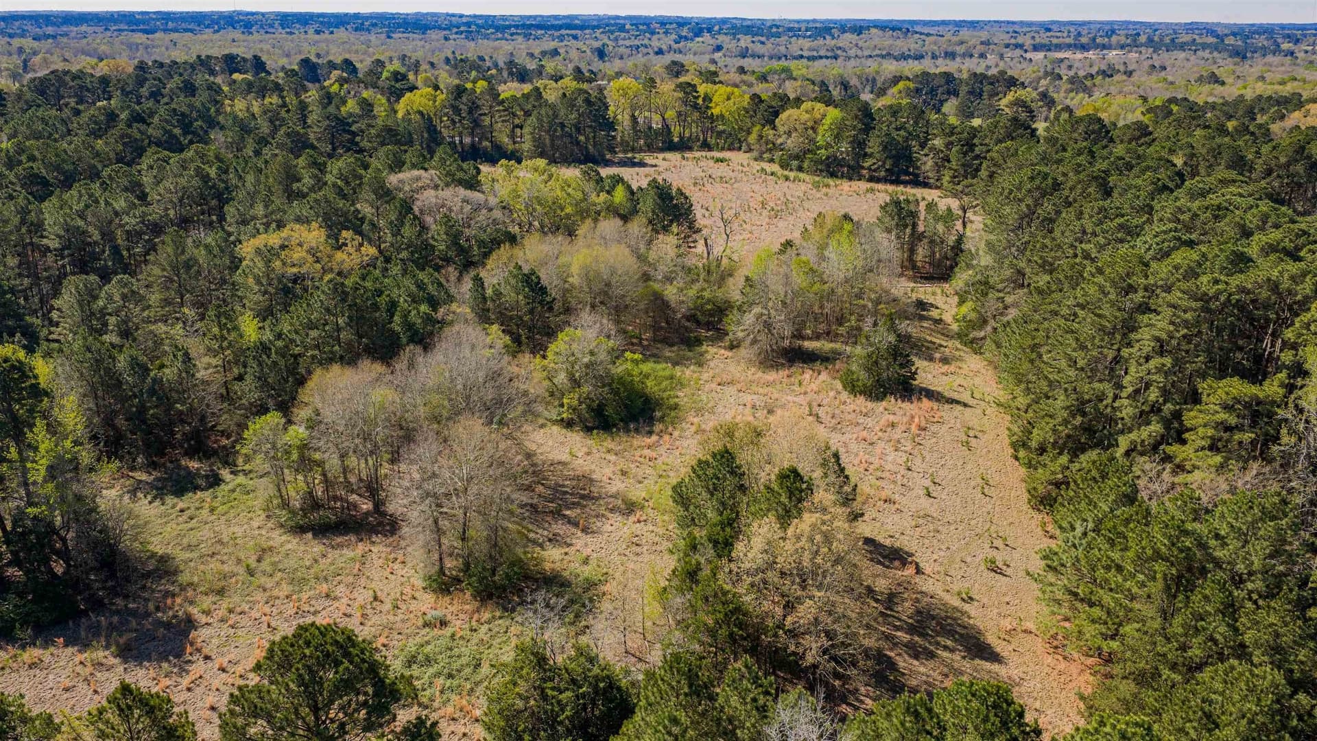 204.1 acres in Upshur County - photo 32