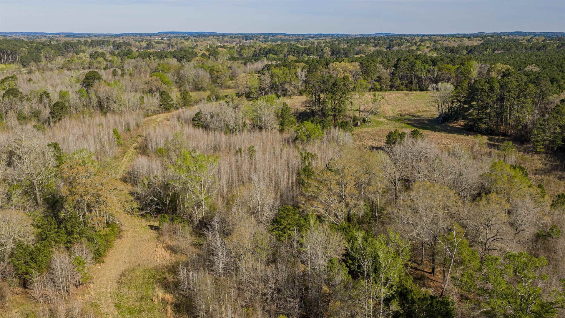 204.1 acres in Upshur County - photo 13