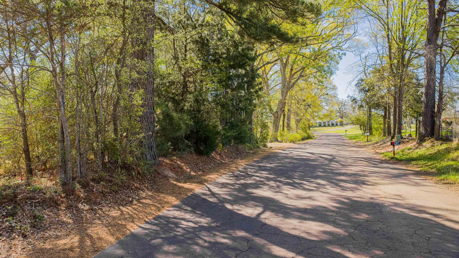 204.1 acres in Upshur County - photo 36
