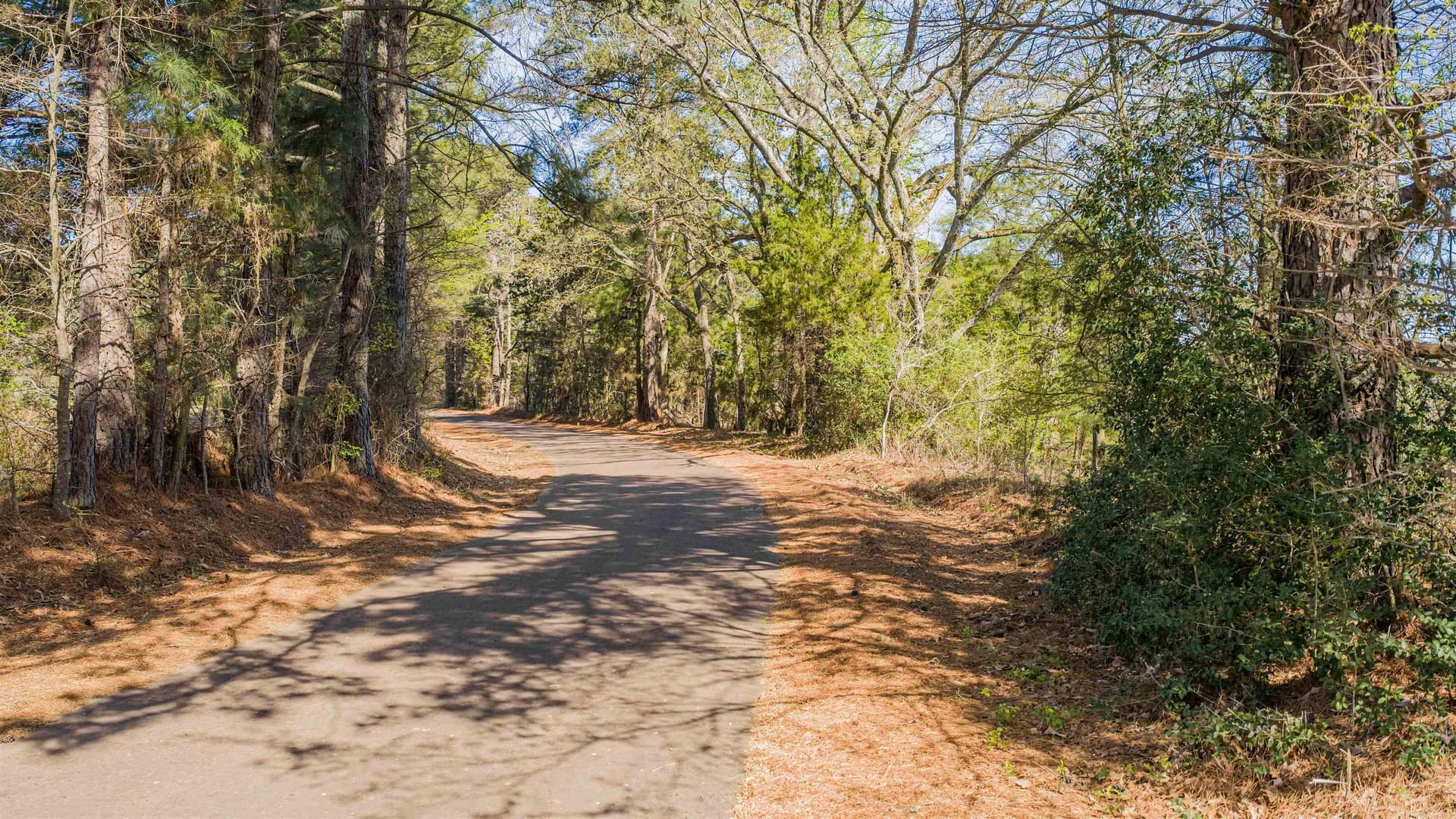 204.1 acres in Upshur County - photo 35