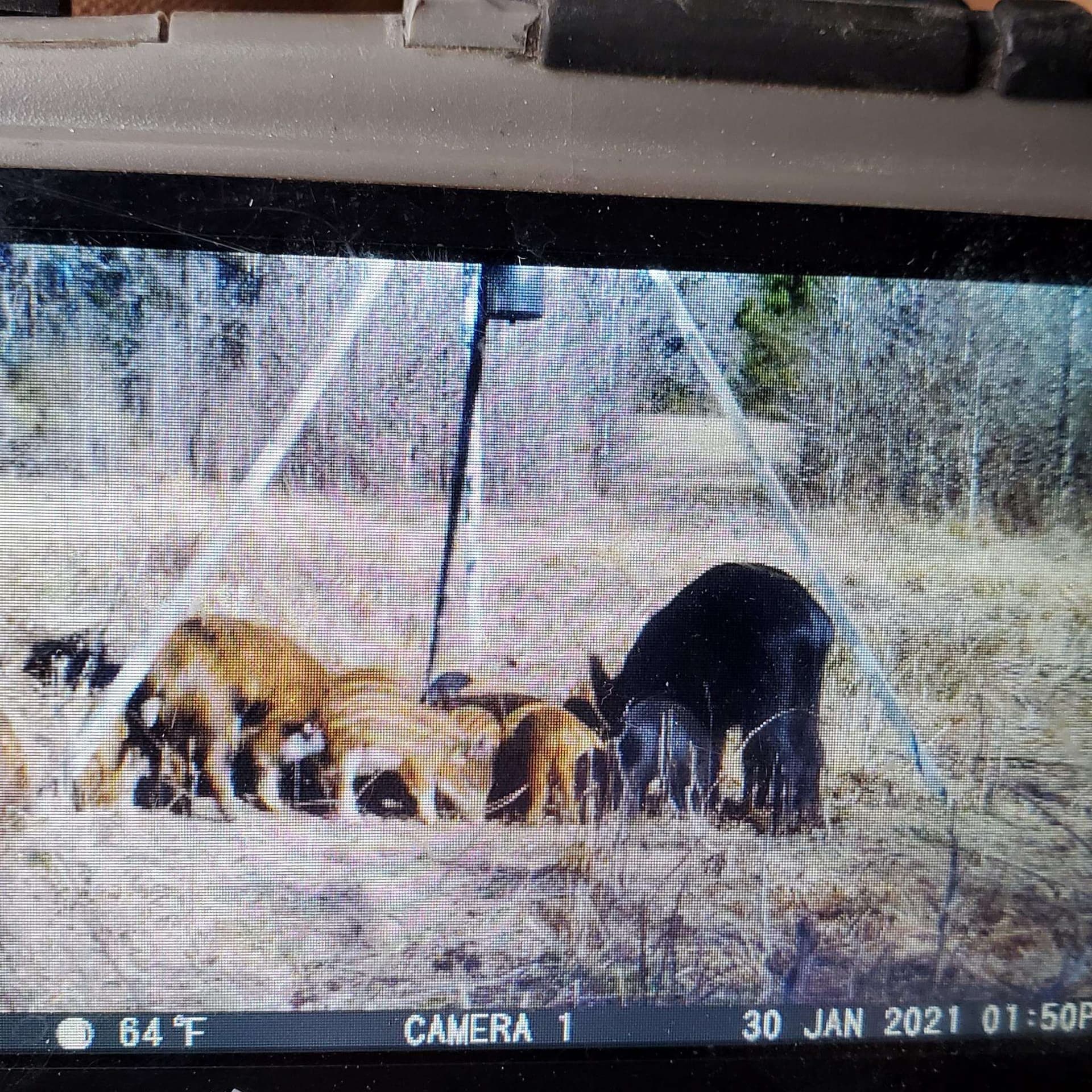 204.1 acres in Upshur County - photo 37