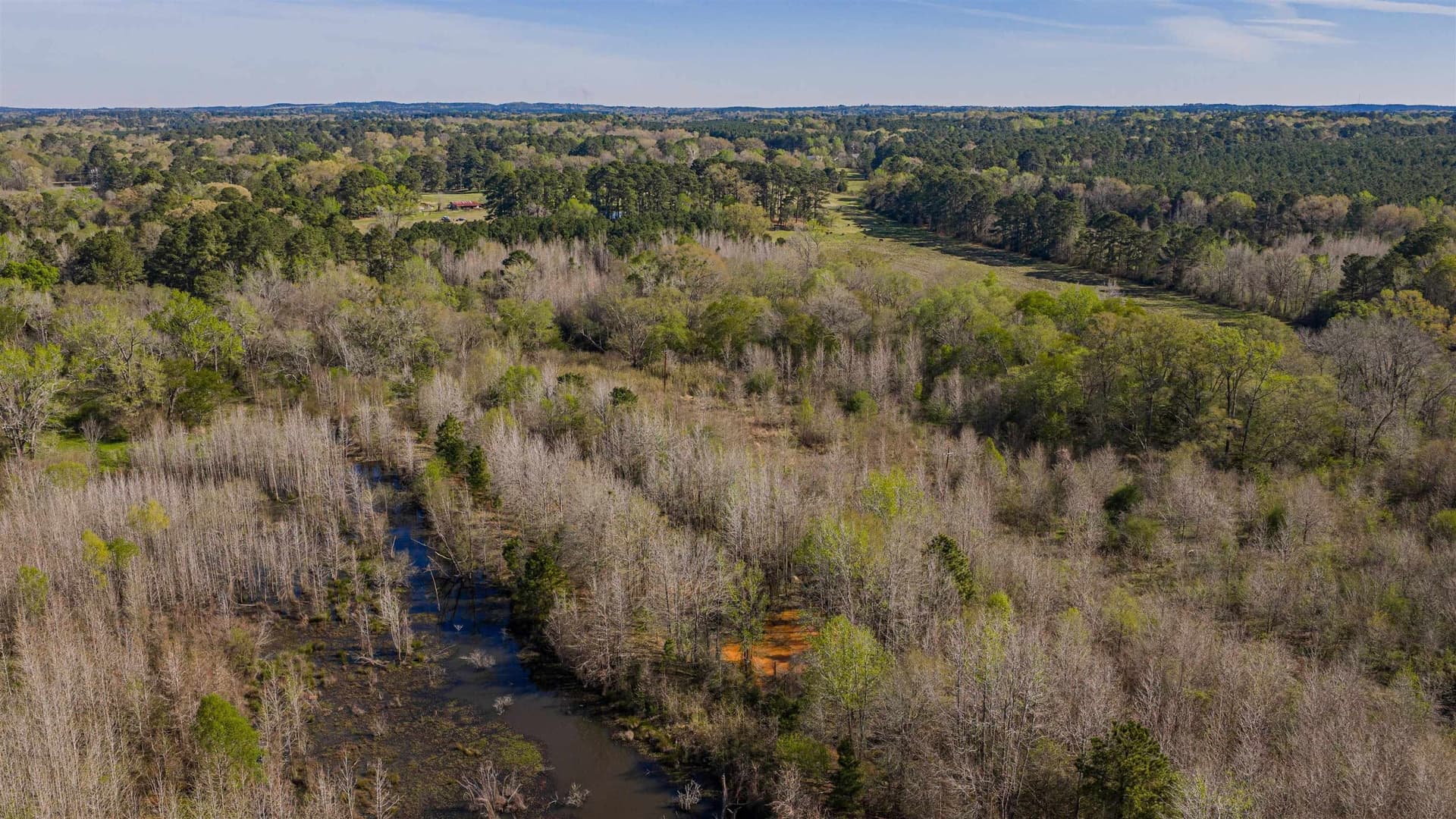204.1 acres in Upshur County - photo 19