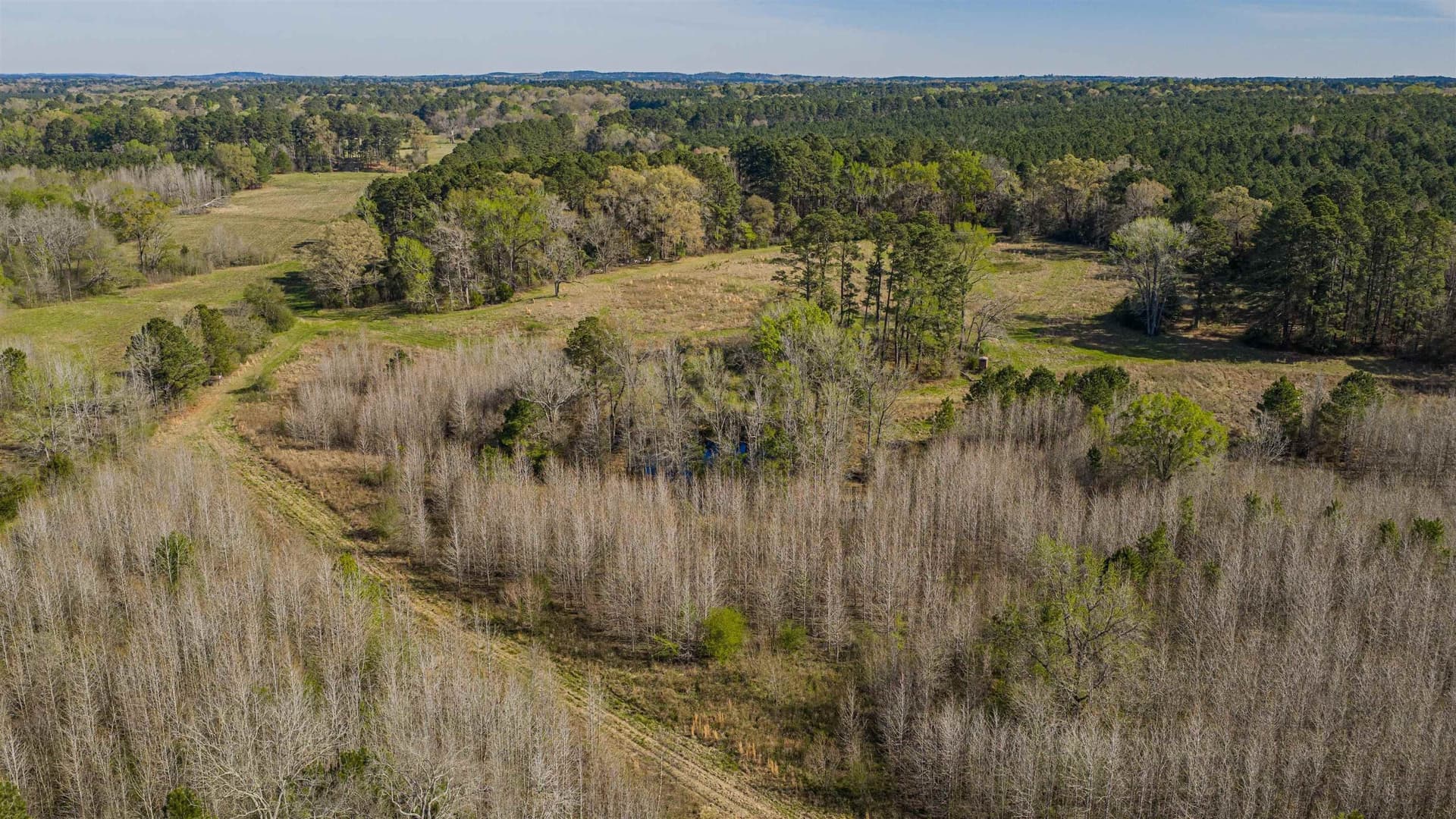 204.1 acres in Upshur County - photo 14