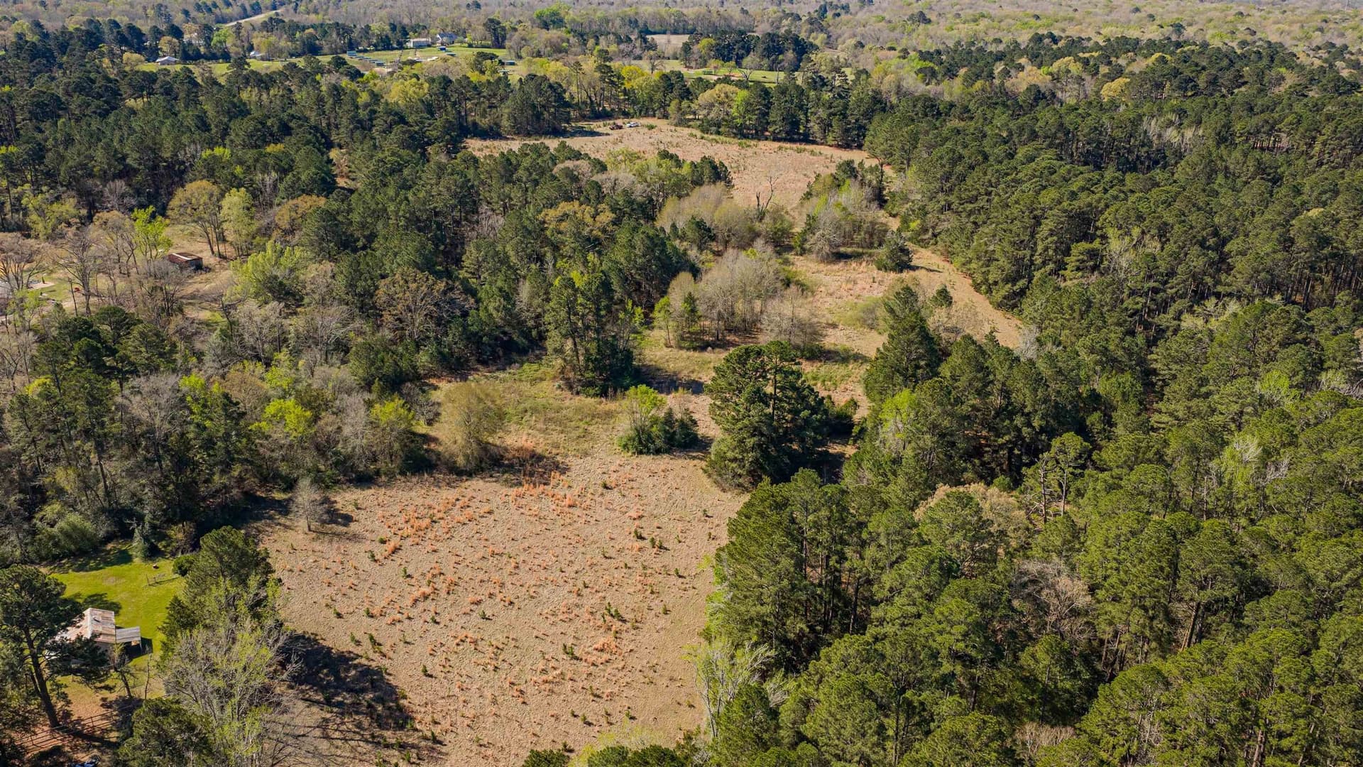 204.1 acres in Upshur County - photo 31