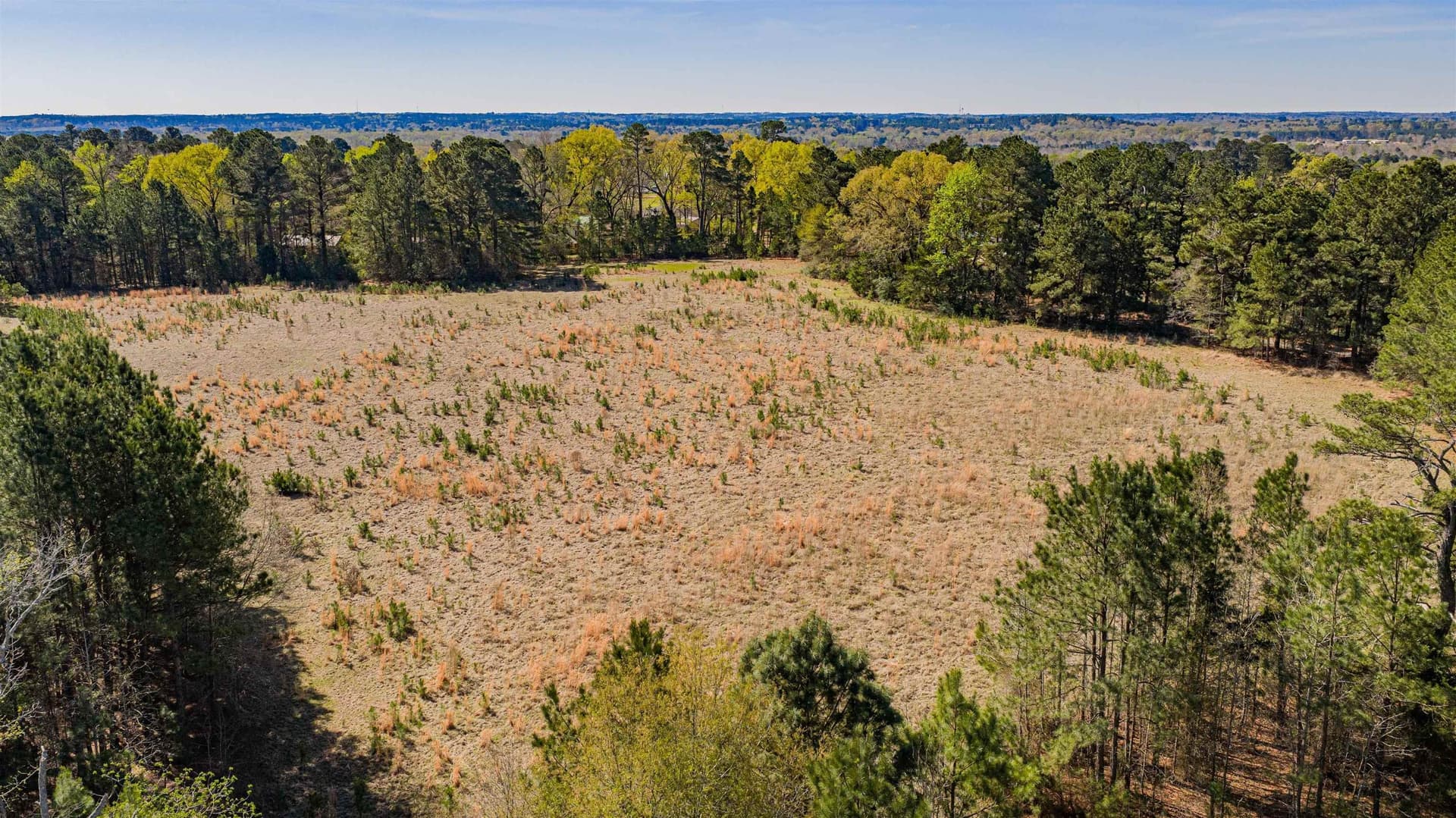 204.1 acres in Upshur County - photo 33