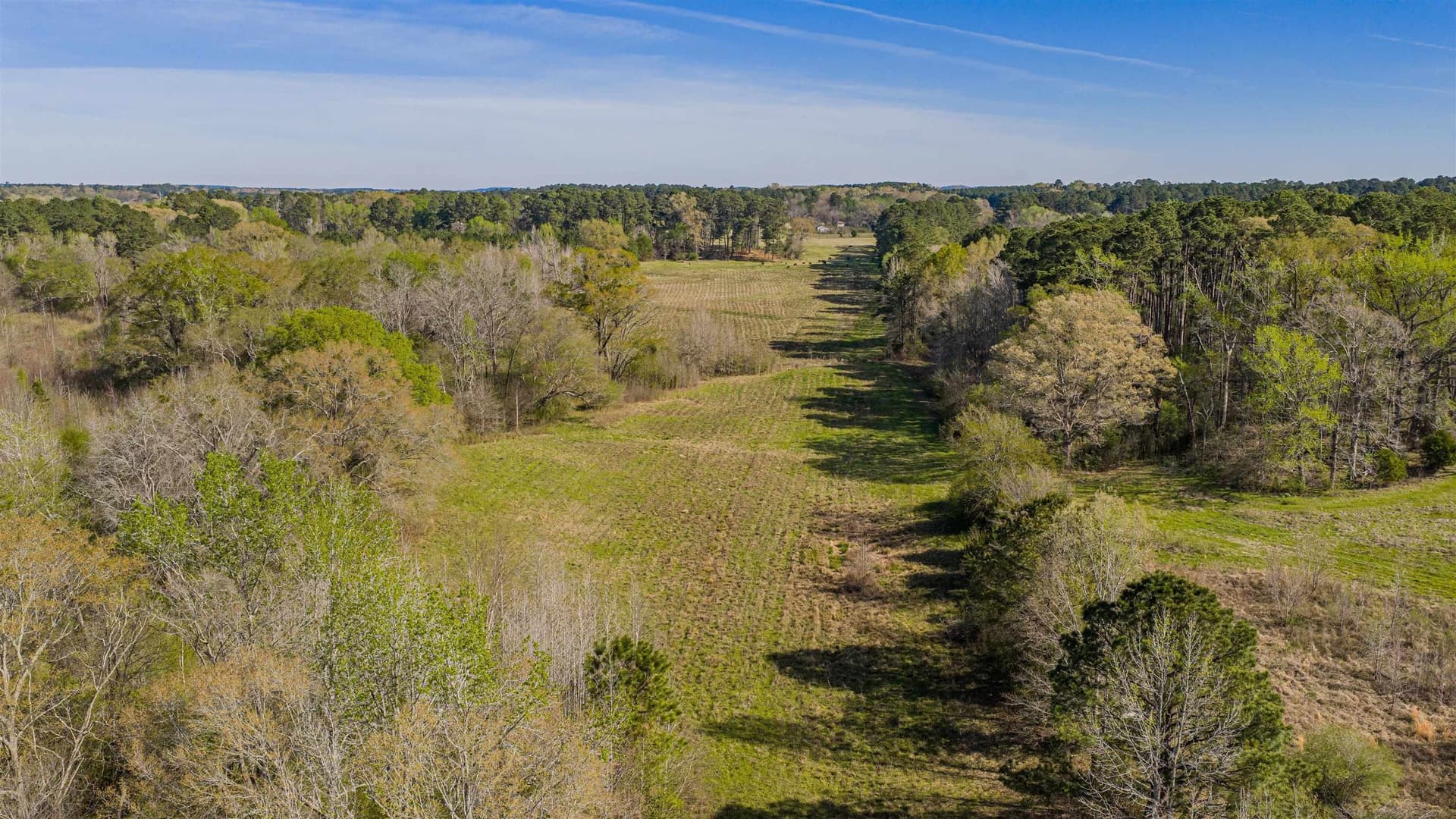 204.1 acres in Upshur County - photo 15