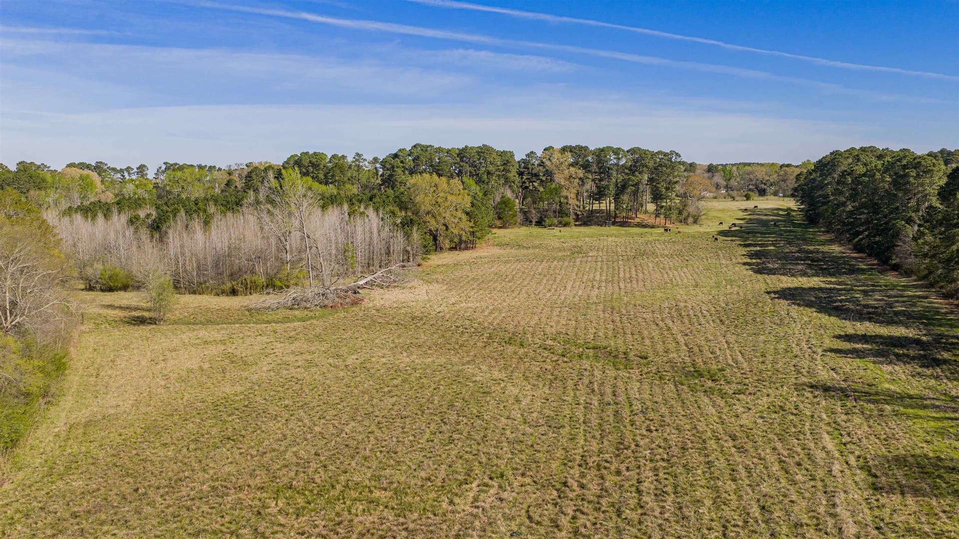 204.1 acres in Upshur County - photo 20