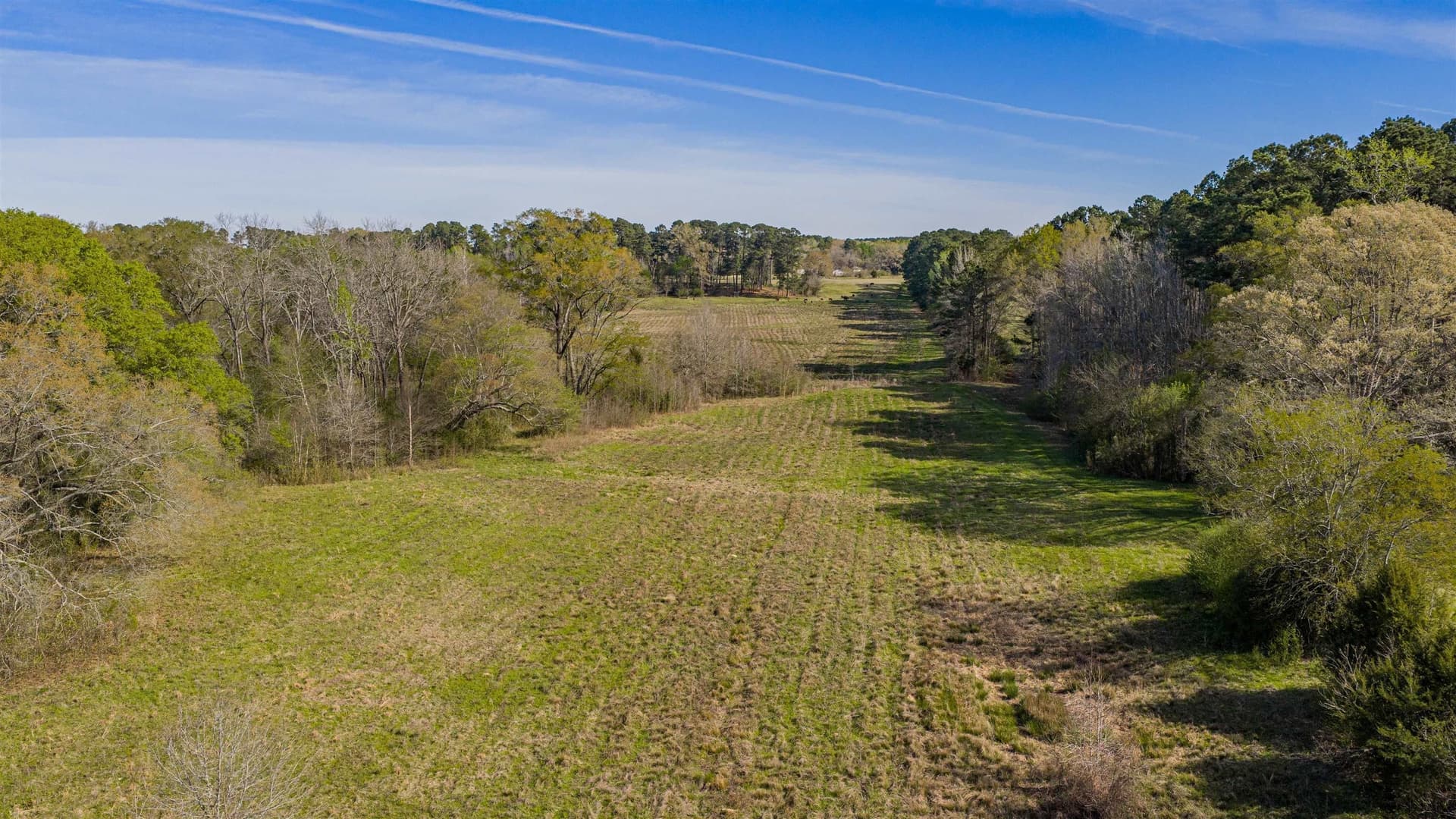 204.1 acres in Upshur County - photo 16