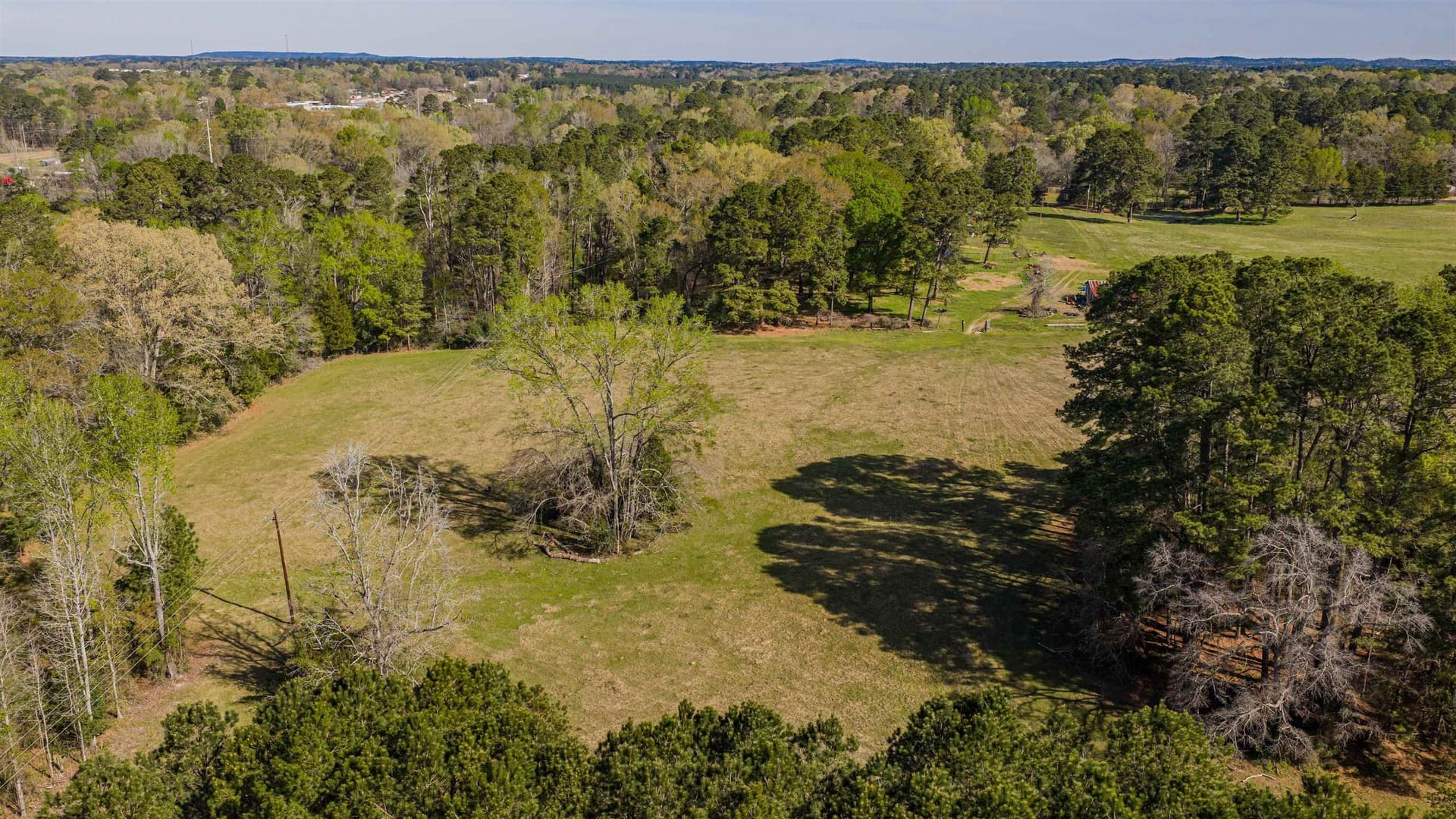 204.1 acres in Upshur County - photo 21