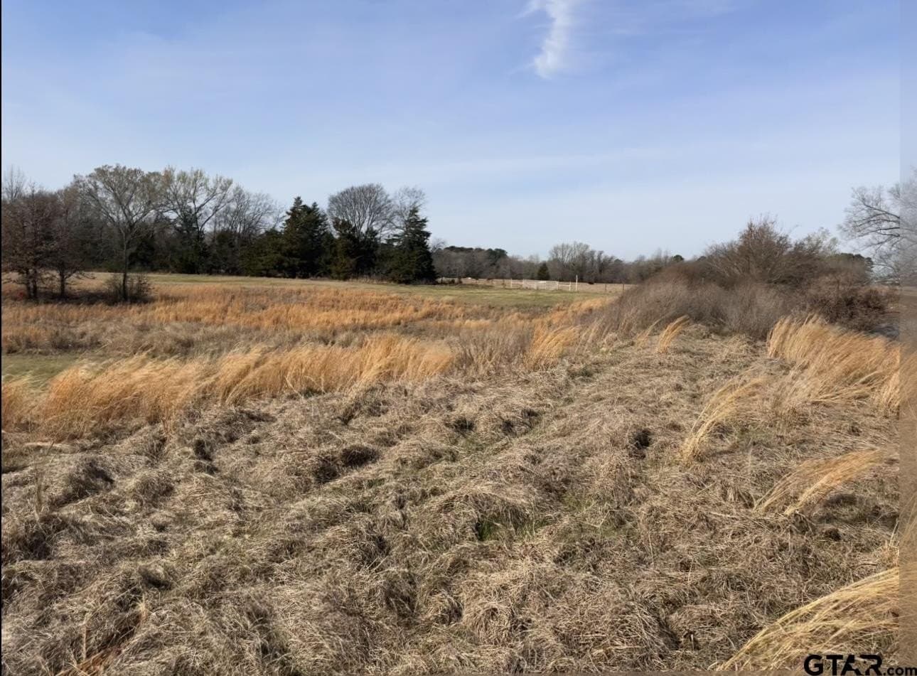 7.5 acres in Titus County featured view