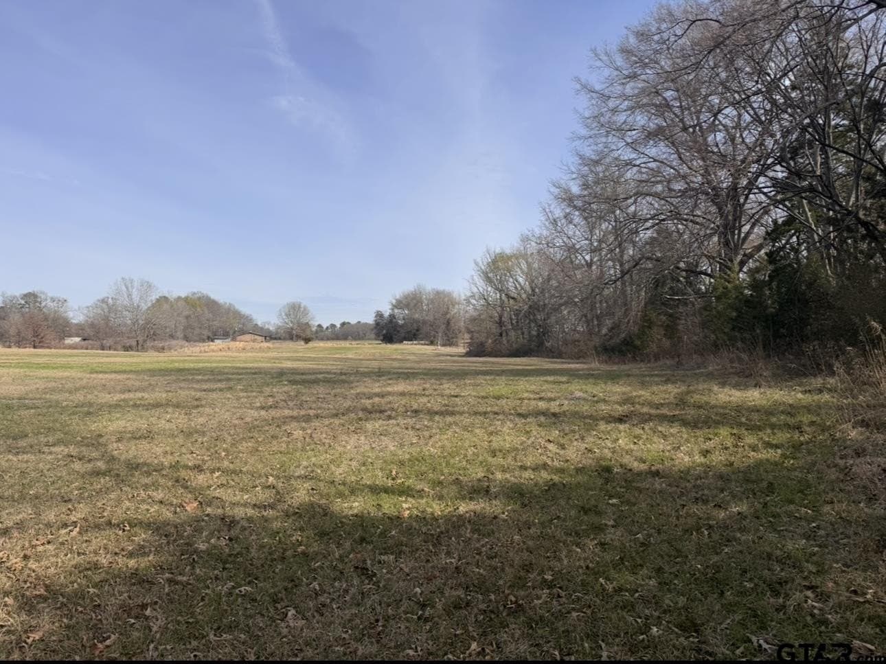 7.5 acres in Titus County gallery image 3