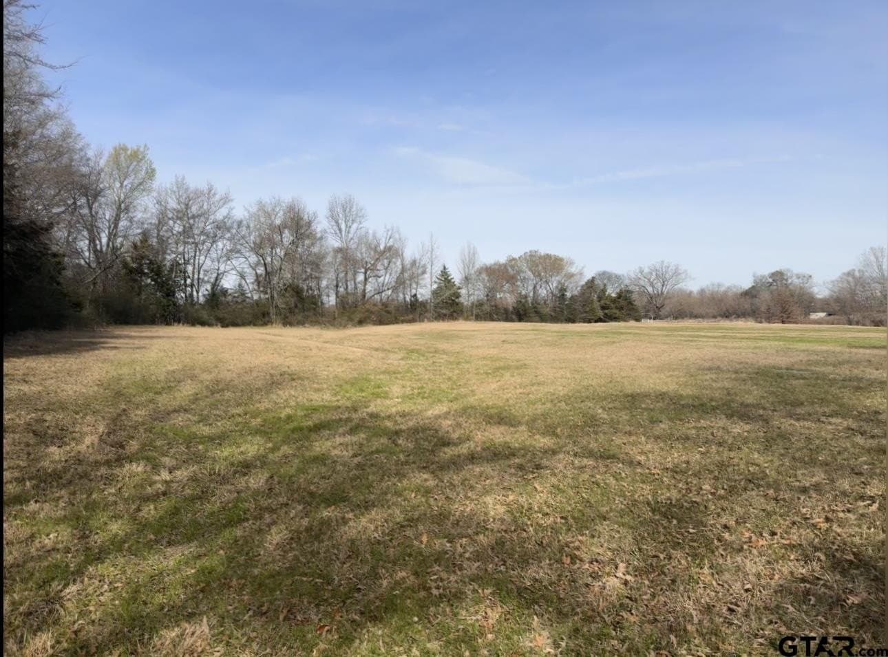 7.5 acres in Titus County gallery image 4