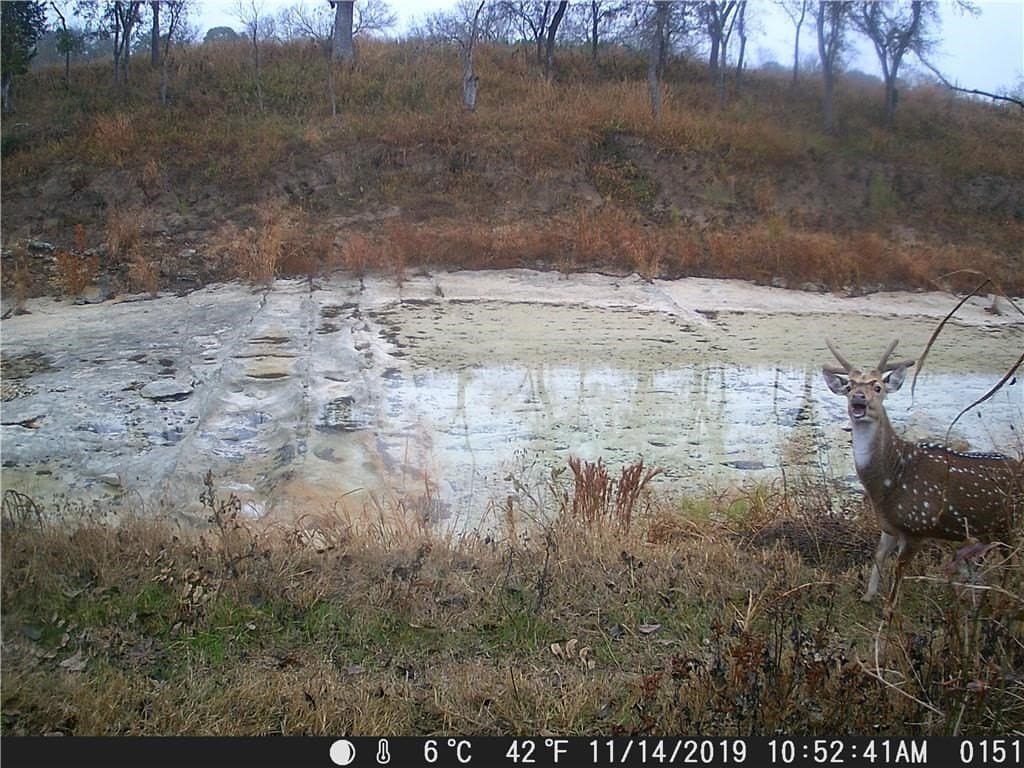 20.5 acres in Blanco County - photo 13