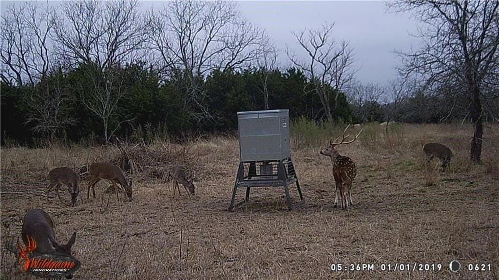 20.5 acres in Blanco County - photo 15
