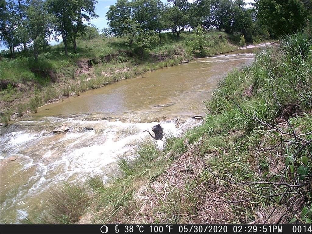 20.5 acres in Blanco County - photo 14