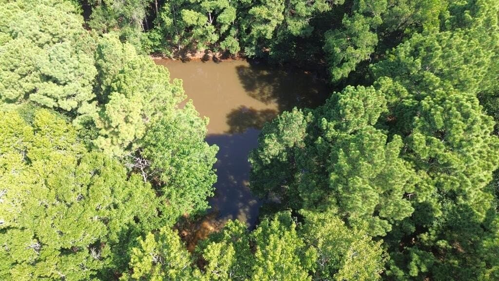 37.84 acres in Texas County - photo 10