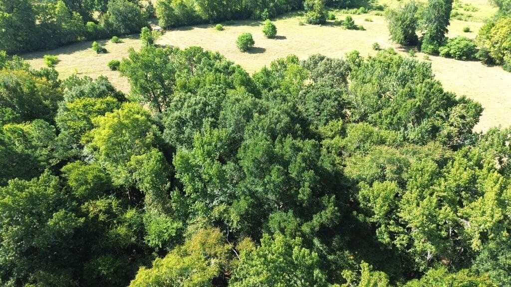 37.84 acres in Texas County - photo 19