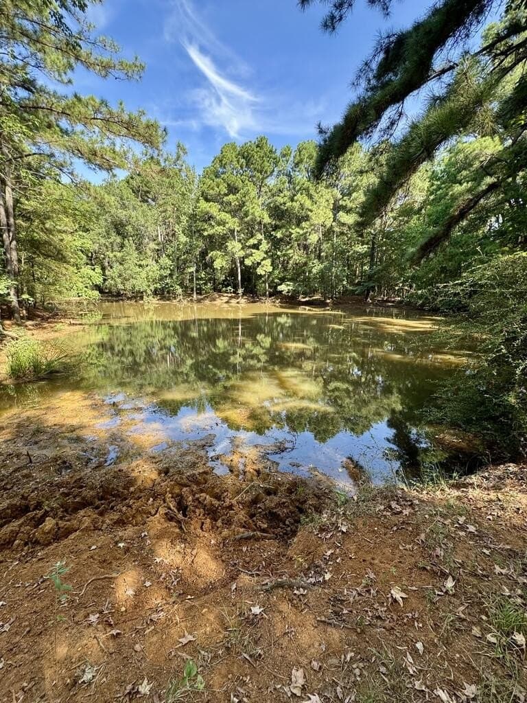 37.84 acres in Texas County - photo 11