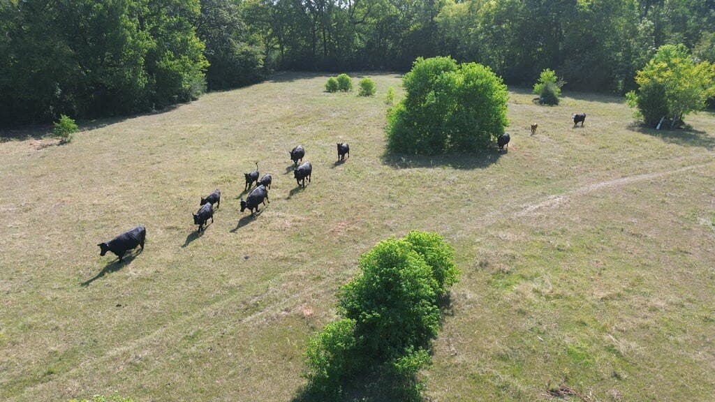 37.84 acres in Texas County - photo 18