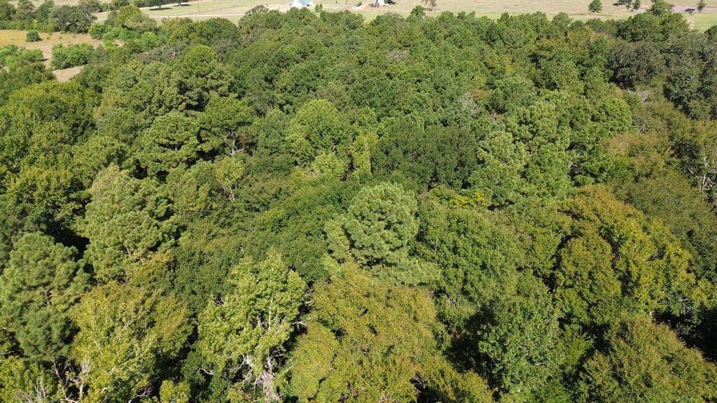 37.84 acres in Texas County - photo 20