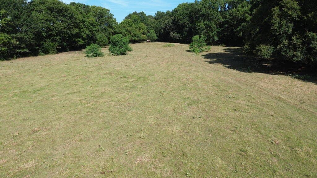 37.84 acres in Texas County - photo 16