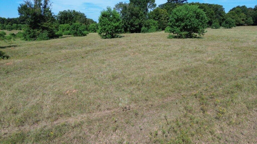 37.84 acres in Texas County - photo 15