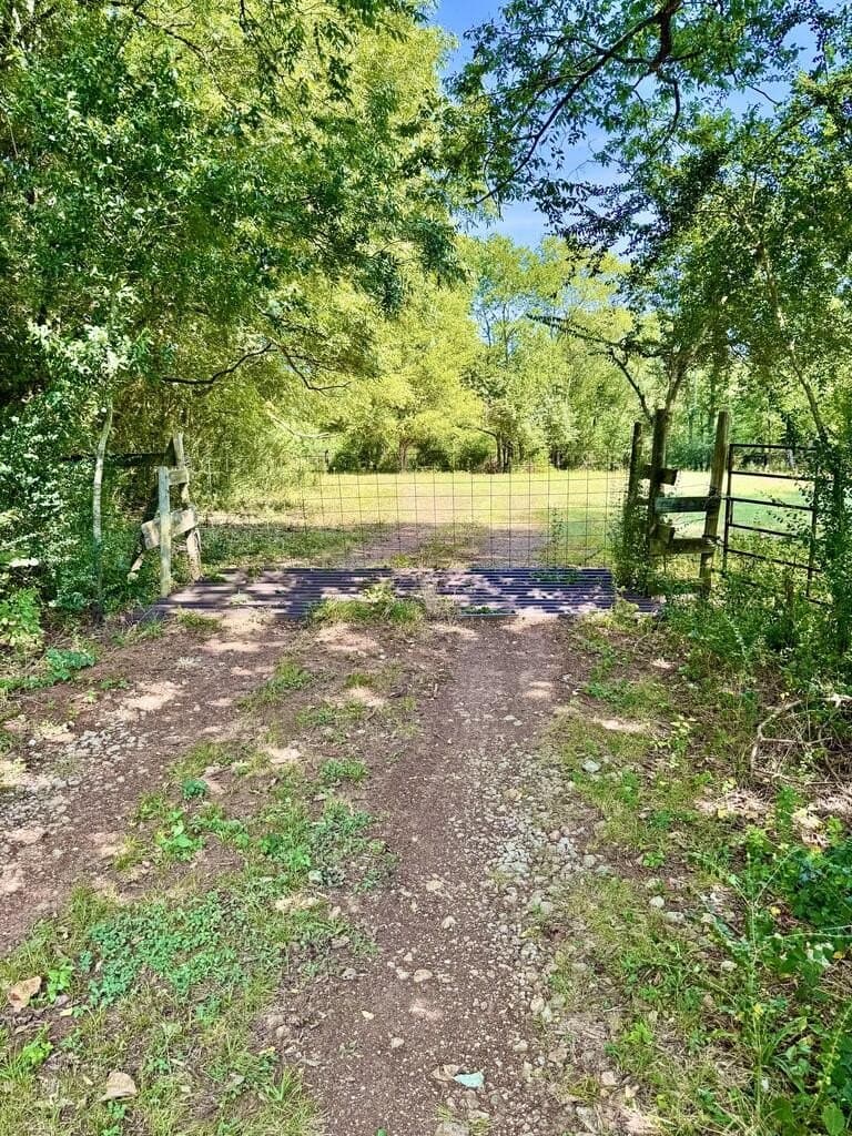 37.84 acres in Texas County - photo 5