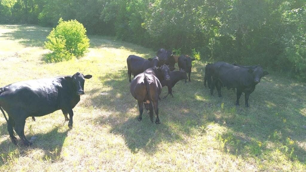 37.84 acres in Texas County - photo 7