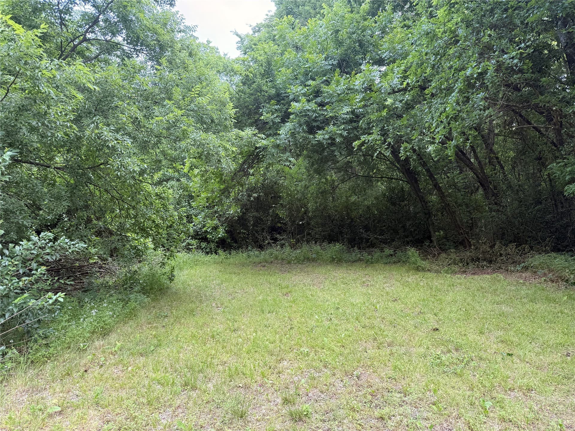 0.38 acres in Collin County - photo 4