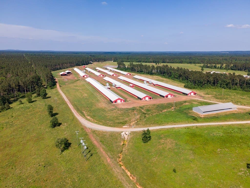 56 acres in Texas County gallery image 4