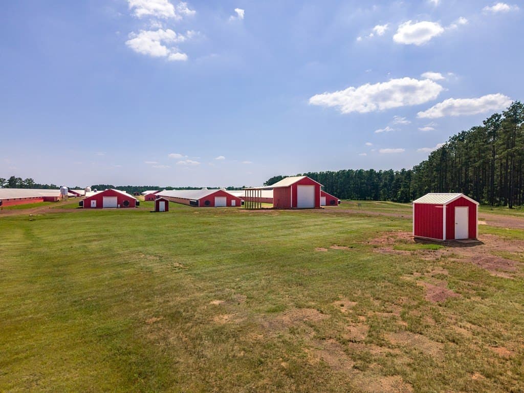 56 acres in Texas County gallery image 2