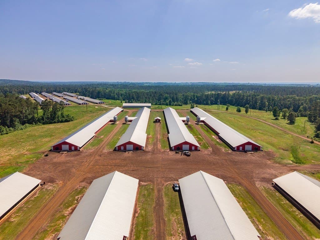 56 acres in Texas County gallery image 3
