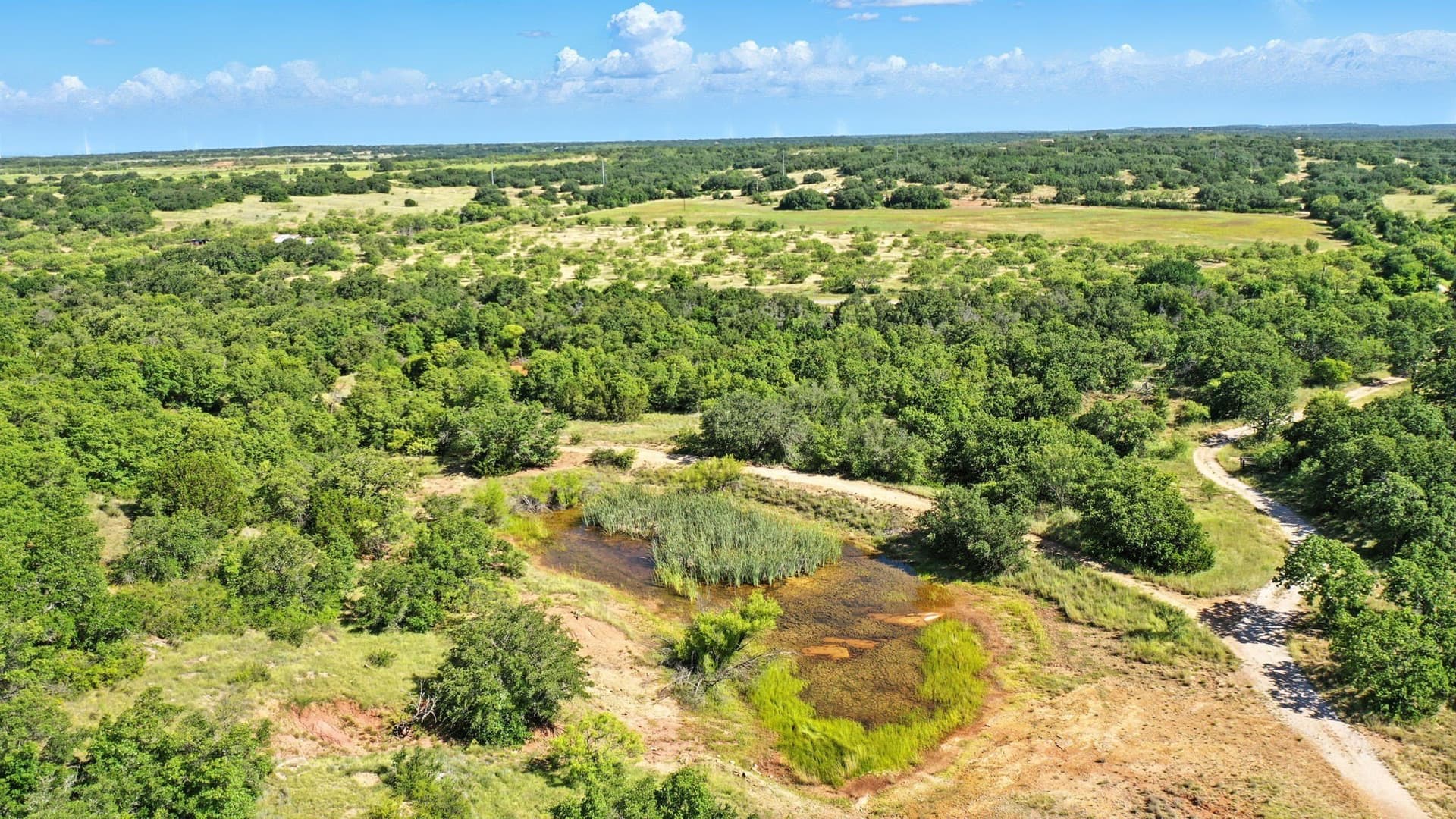 112.46 acres in Eastland County - photo 8