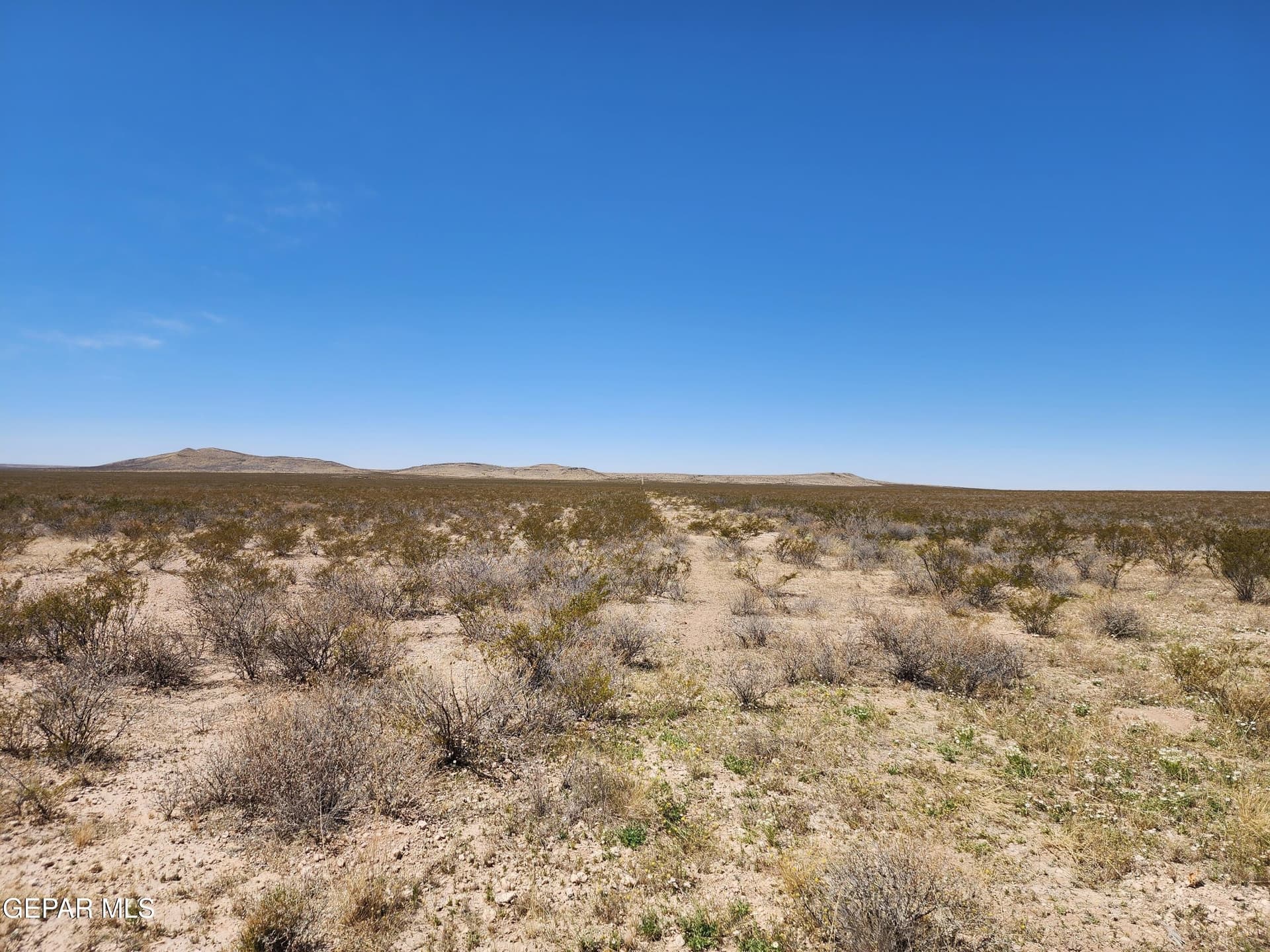 100 acres in Hudspeth County gallery image 2