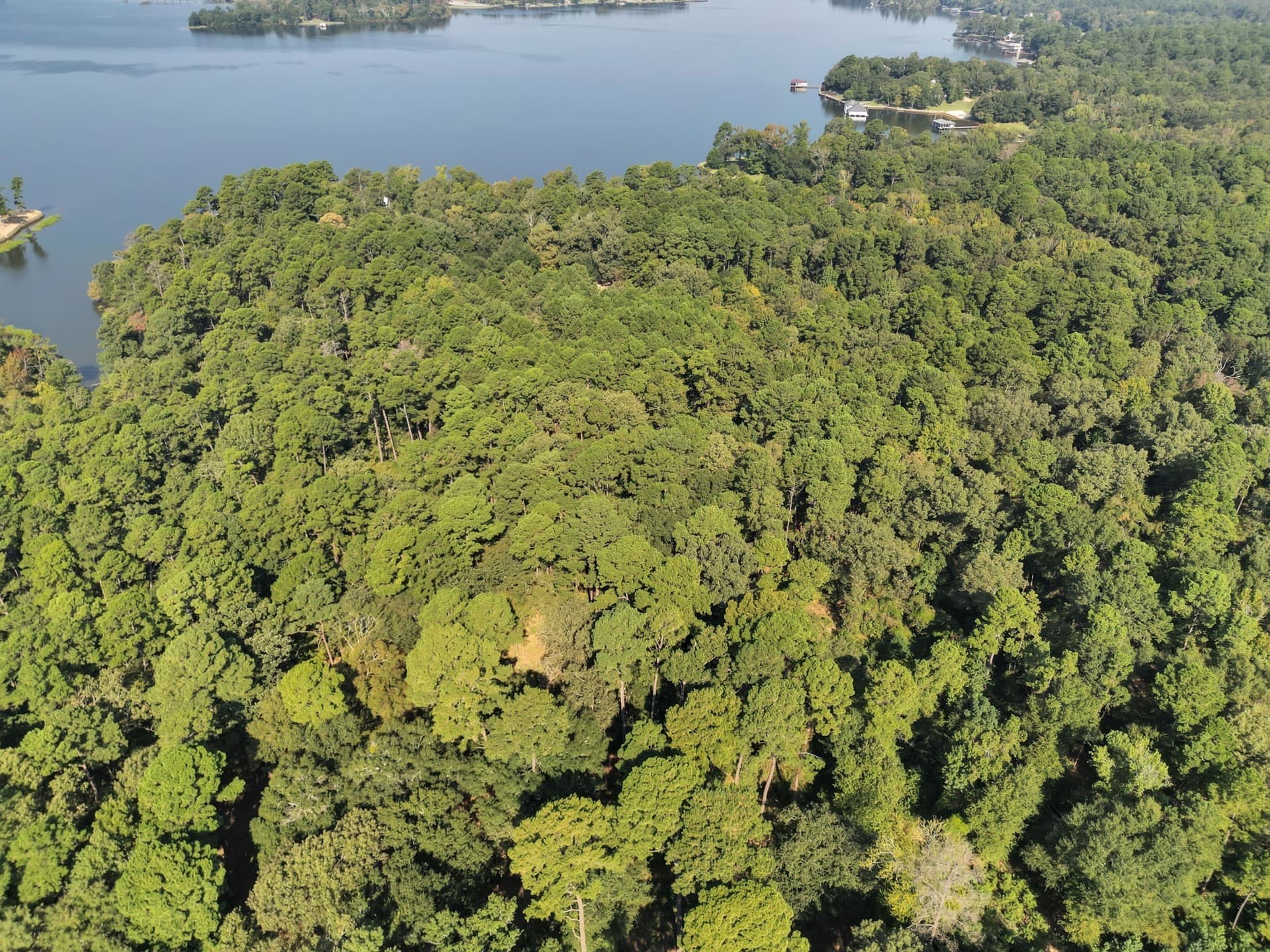 1.38 acres in Smith County - photo 16